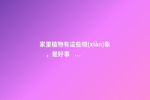 家里植物有這些現(xiàn)象，是好事，預(yù)示你家要發(fā)大財了！
